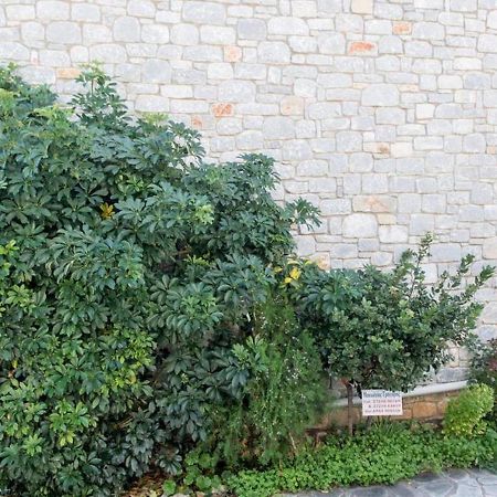 Manoleas Villas - Apartment 3 Stoúpa エクステリア 写真