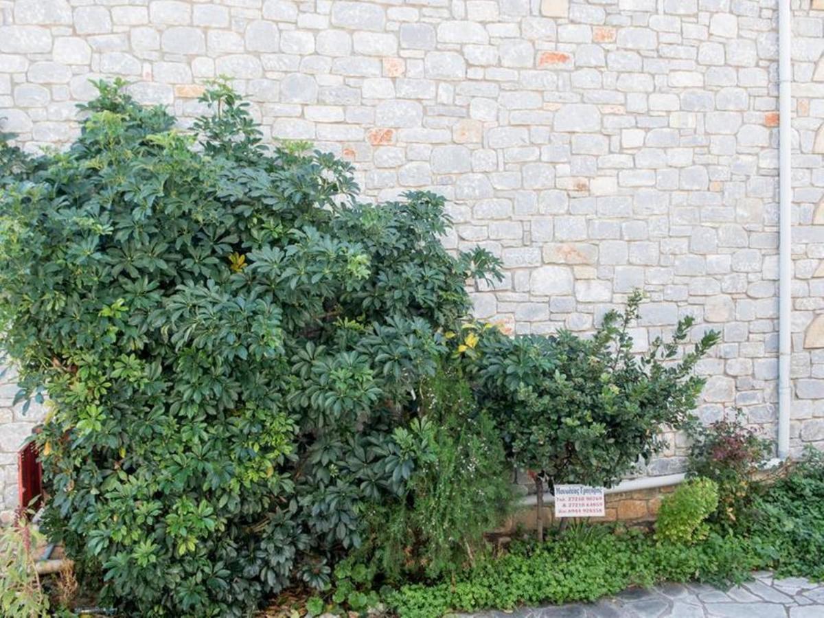 Manoleas Villas - Apartment 3 Stoúpa エクステリア 写真