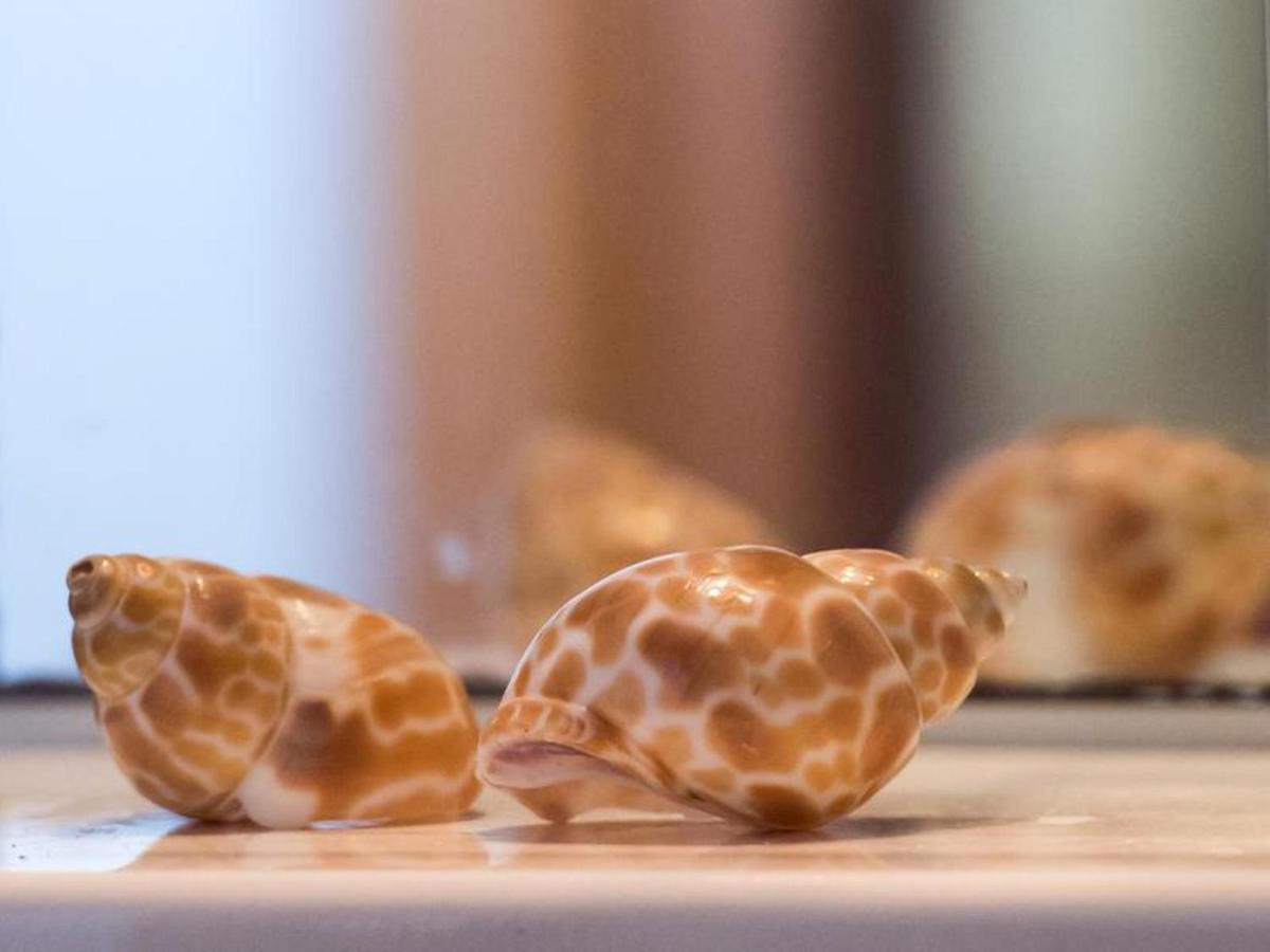 Manoleas Villas - Apartment 3 Stoúpa エクステリア 写真